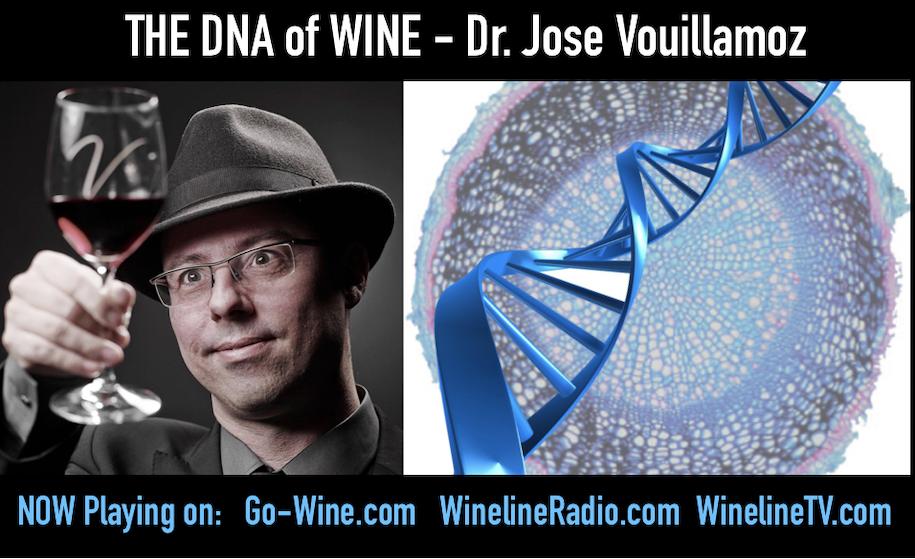 wine article Dna Unraveleld Ancient Grapes Climate Change And Rewriting The Code