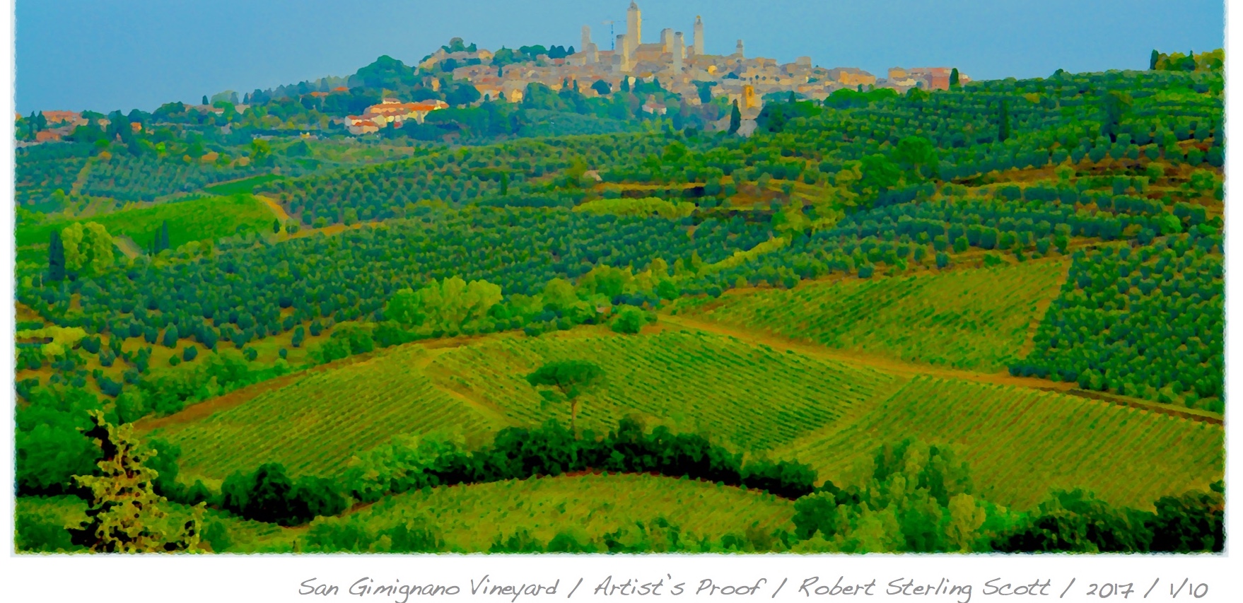 Navarra Spain Wines